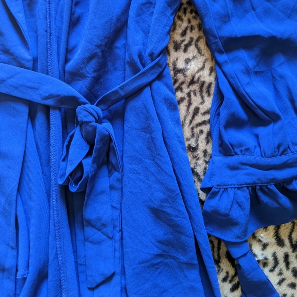 Blue Jacket - Picture 5 of 8